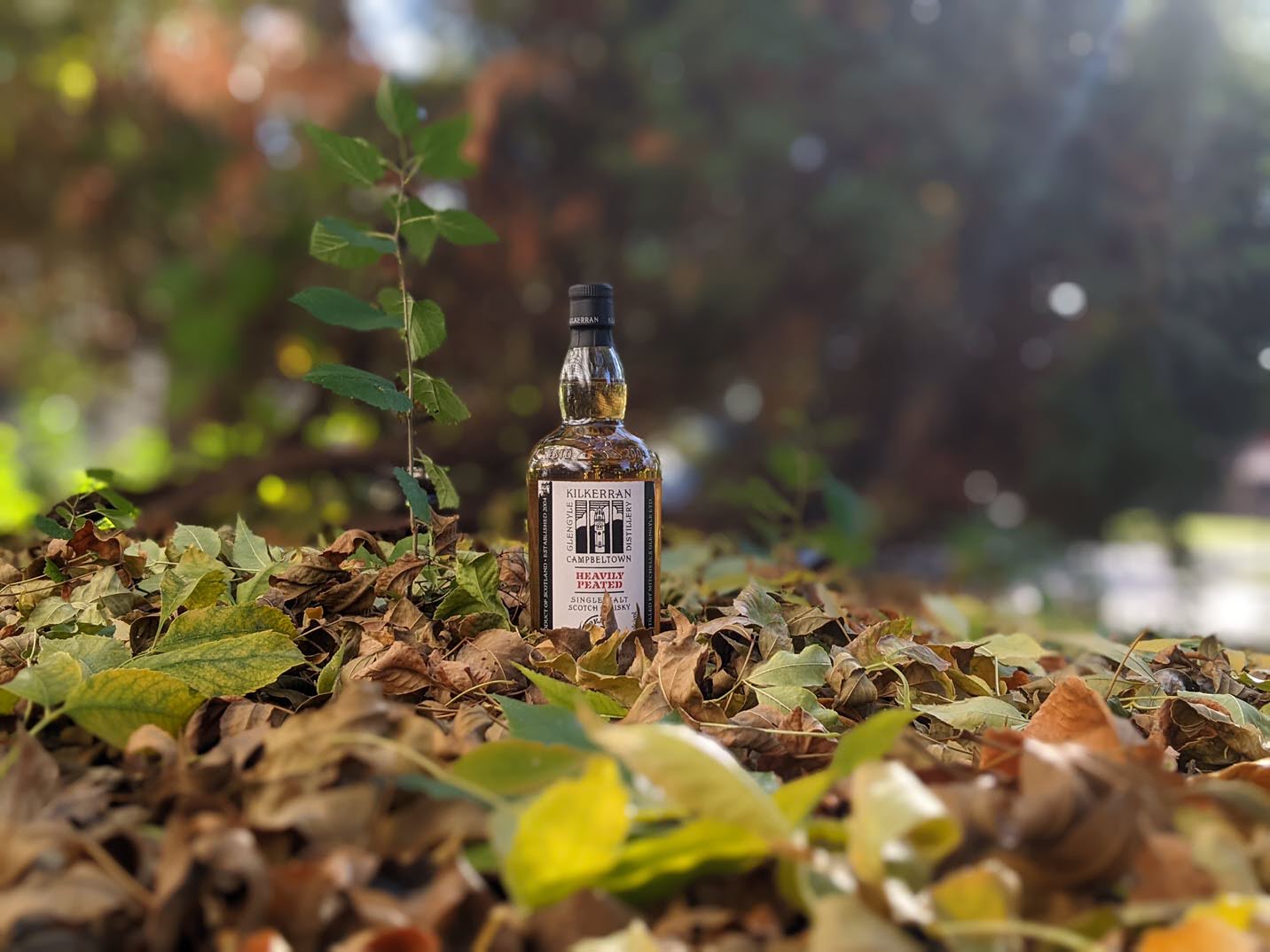 Review: Kilkerran Heavily Peated · Scotchology